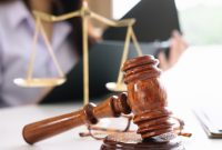 Legal Terms | PDF What Are The Most Common Legal Terms Explained