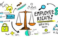 Workplace Equality: How Employment Law Ensures Fair Treatment for All ...