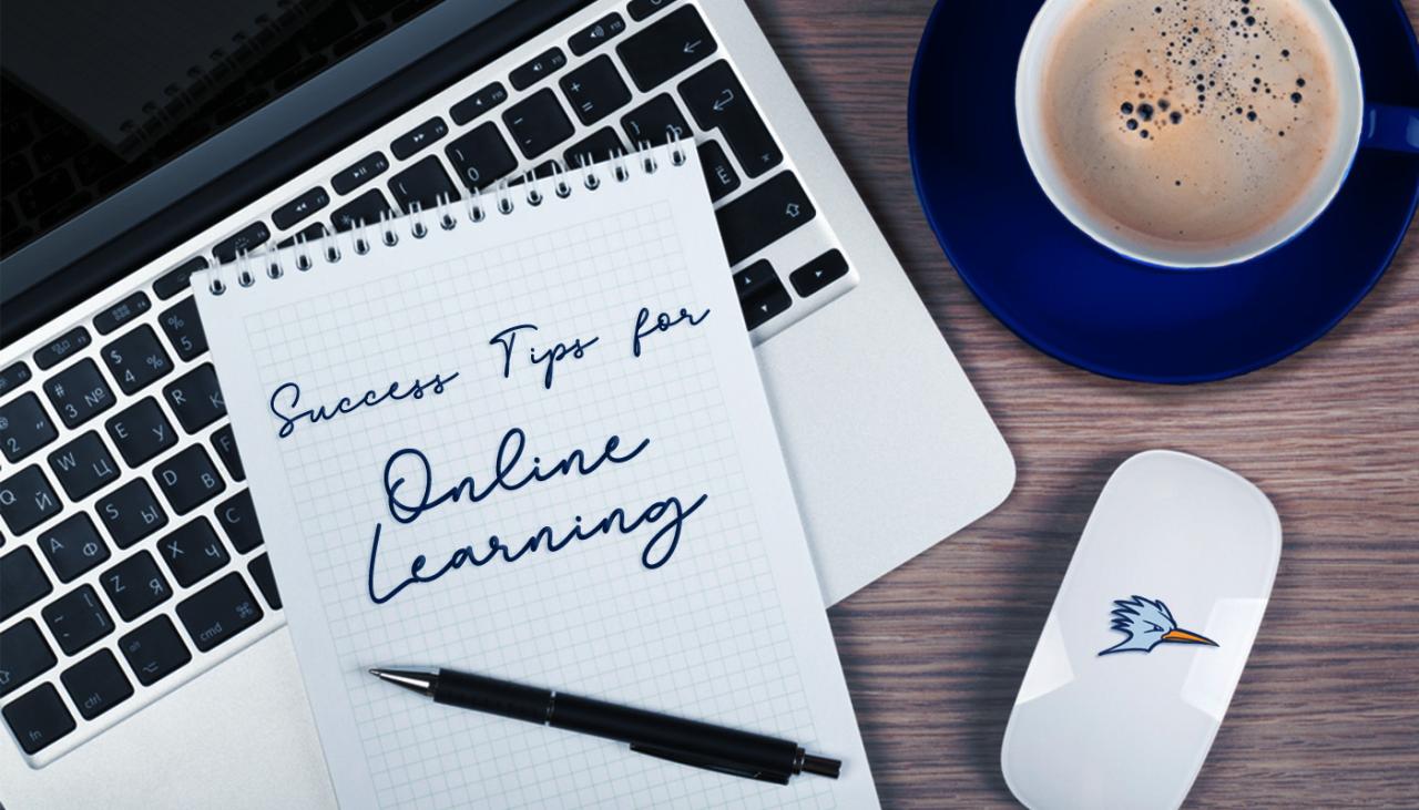 Tips For Succeeding In Online Education Courses