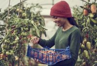 Trends In Sustainable Technology For Consumers