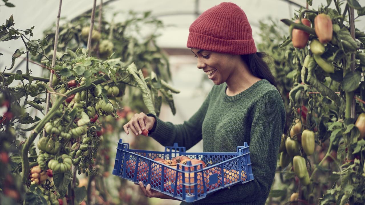 Trends In Sustainable Technology For Consumers