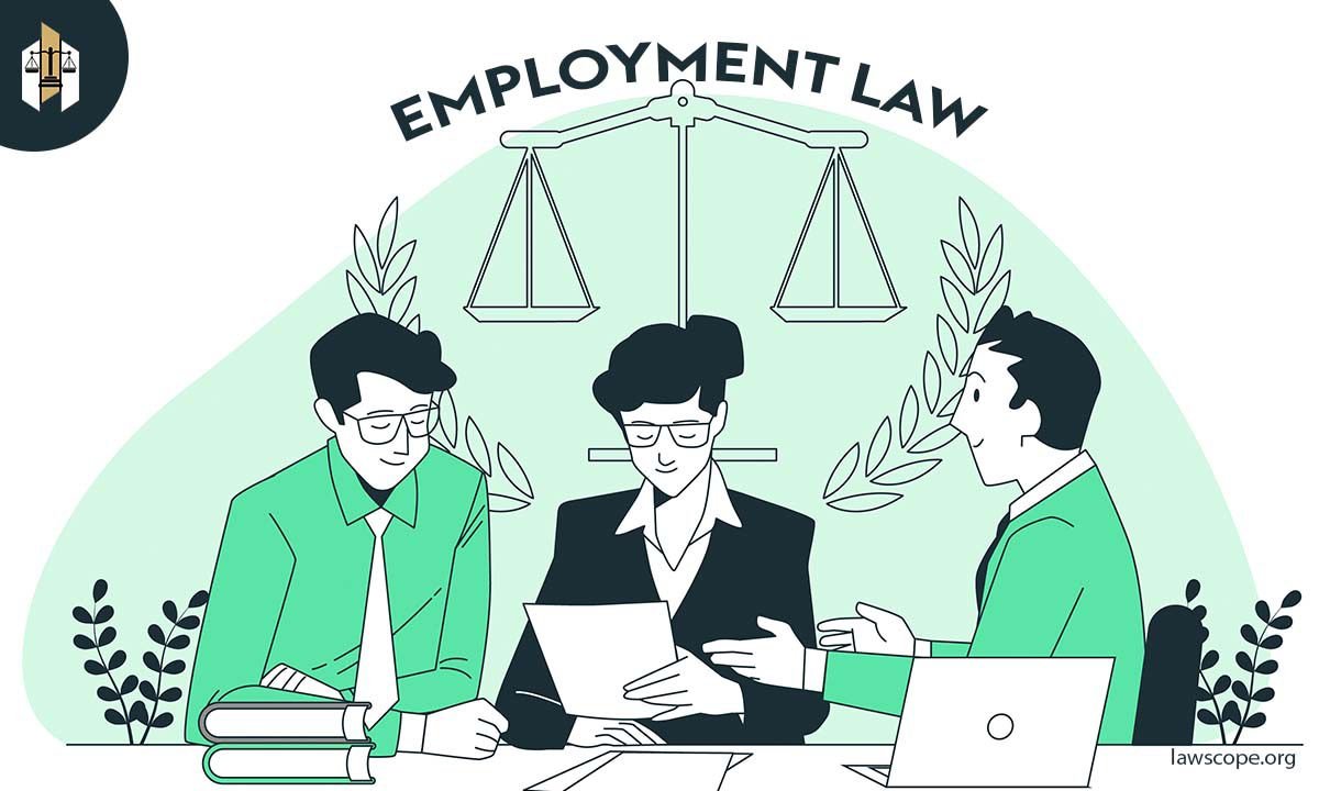 What Should I Know About Employment Law For Small Businesses