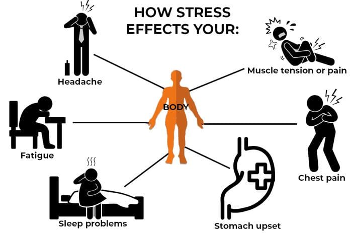 How Does Stress Impact Physical Health Over Time