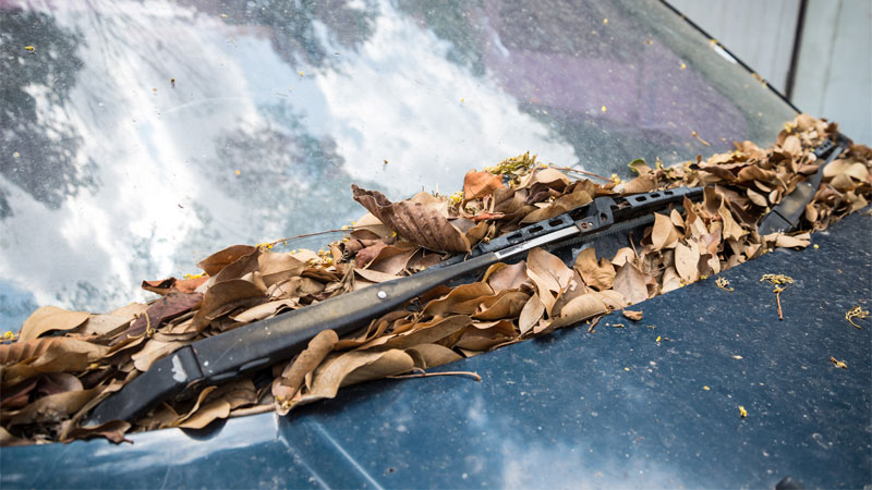 How Often Should Windshield Wipers Be Replaced? How Often Should You Replace Windshield Wipers